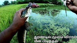 Best fish catching videos by Using Fishing Rod And Reel\ Viral Fish catching in the lake and village