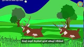 සිංහල ළමා ගීත එකතුව | Sinhala Kids Song Collection | Sinhala Lama Gee | Babyhub