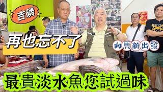  再也忘不了  最貴淡水魚您試過味  向馬新出發 {韜滔有食神} 2023.10.31.