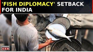 Bangladesh Pulls Plug On Ilish Exports Before Durga Puja, Hilsa Ban To Strain India-B'desh Ties?