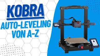 Anycubic Kobra, auto-leveling von A-Z, ist das Ergebnis ausreichend ? | Teil 1/2