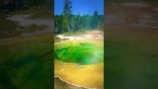 What If Yellowstone Supervolcano Erupted?  A Real Global Threat
