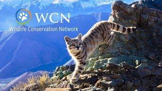 Wildlife Conservation Network