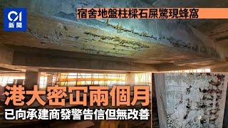 港大宿舍地盤柱樑石屎現蜂窩　校方密冚兩個月　警告承建商無改善｜01新聞｜HKU｜地盤｜建築工程｜建築安全｜石屎 #hongkongnews