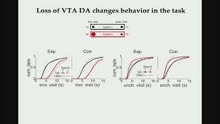 David Foster – Explorations in hippocampal replay