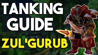 Zul'Gurub Tanking Guide WoW Classic | Fury Prot Main Tank POV