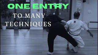 One Entry To Many Karate Techniques | Les Bubka