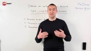 SEO 2017: Ответы на любые ваши вопросы от SeoProfy