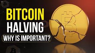 Bitcoin Halving Explained: Why It Is So Important? | Cryptela