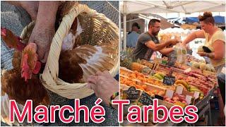 سوق أسبوعي بمدينة تاغب نواحي تولوز الفرنسية Marché Tarbes