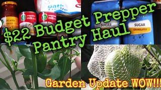 $22 Budget Pantry Haul/Garden  Update WOW!!! #martinmidlifemisadventures #gardentour #prepperpantry