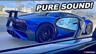 x6 Lamborghini Mobbing the Highway Pure Sound! Aventador SV, Huracans, Gallardo, GT3RS