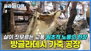 질긴 소가죽이 윤기나는 고급 가죽이 될 때까지 독한 화학약품의 바다에서 죽도록 일하는 사람들│방글라데시 가죽 공장│가죽 가공 과정│극한직업│#골라듄다큐