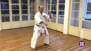 Naihanchi Kata by Lemus Sensei