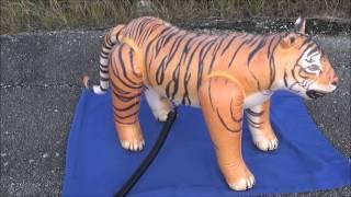 Popping Jet Creations Small Bengal Tiger