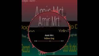 Amir Mrt _ Yellow Dog