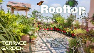 Rooftop Garden || Terrace garden HARDY PLANTS FOR OUTDOOR  GARDEN