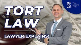  What is Tort Law? | Lawyer Explains #tort