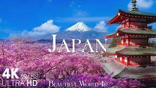 Japan 4K - A Stunning Visual Tour of Cherry Blossom Season and More - Calming Music