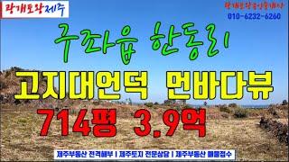 224. [제주도토지] 한동리 고지대언덕  시원스런 먼 바다경관ㅣ아름다운 월정평대해안도로가 산책길ㅣ매물이 가진 조건대비 아주 저렴한 가격ㅣ광개토왕공인중개사 010-6232-6260