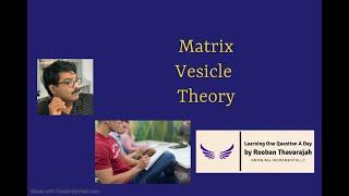 How to answer best for the question on Matrix Vesicle Theory