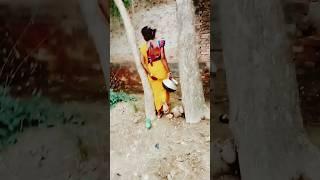 pichkari tohar Hala