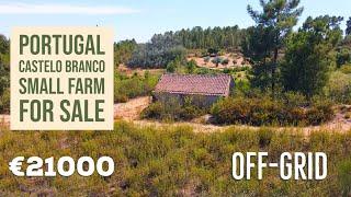 CHEAP OFF-GRID FARM FOR SALE | Castelo Branco, Central Portugal | VIRTUAL PROPERTY TOUR 