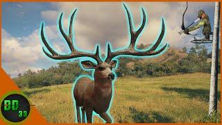 The Hunt For The Biggest Mule Deer We've Ever Seen! Call of the Wild 2024