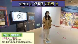 곤충의눈_360도세상