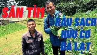 HÀNH TRÌNH SĂN TÌM VƯỜN RAU SẠCH HỮU CƠ Ở ĐÀ LẠT