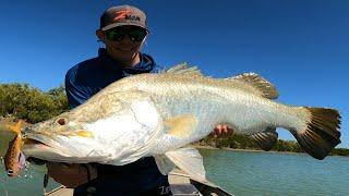 BARRA Fishing Remote Cape York Australia (Part 2)