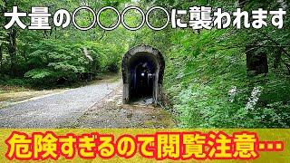 あのトンネルの内部がとんでもないことに…【廃線跡】