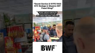 “Secret Service & NYPD RAID NYC Bodega in Massive EBT Fraud Sting!”