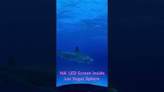 16K Immersive 3D LED Screen in Las Vegas Sphere #nseled #nseledcloud #nseledeurope