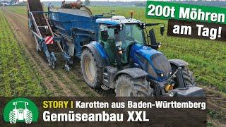 Gemüsebau Großhans | Möhrenernte mit Valtra Traktoren | Gemüseanbau XXL | Sonderkulturen | Agrar