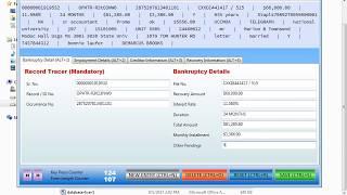 Bankruptcy Offline Data Entry Projects.