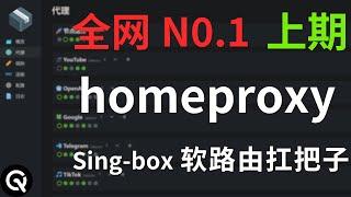 【全网最细】软路由openwrt唯一界面singbox插件homeproxy使用详细教程。