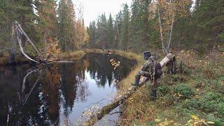 ДИКАЯ РЫБАЛКА В ДРЕМУЧЕЙ ТАЙГЕ. ЗАЧЁТНЫЕ ЩУКИ НА СПИННИНГ. НЕ ЗРЯ СХОДИЛ НА ТАЙНУЮ РЕКУ. ТИХОЕ МЕСТО