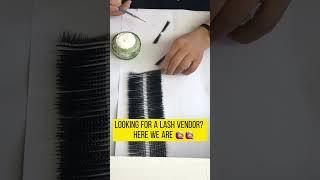 Looking for Eyelash Factory? here we are #lashsuppliers#minklasheswholesale#minklashesvendor