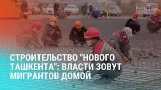 В Подмосковье мигранты купили ребенка. Вакансии для 10 тыс. узбекистанцев на родине