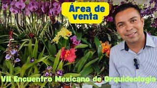 VII Encuentro Mexicano de Orquideologia en Guadalajara, área de venta