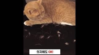 털먼지제거 강력 롤클리너