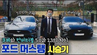 포드 머스탱 시승기 5.0과 2.0의 차이는? 자세하게 비교해봤습니다