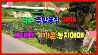 284. 석리 주말농장매매 도로에 잘 접한 포항주말농장매매 동해면 주말농장매매 소액으로 주말농장이 가능한 밭매매합니다 시내와 가까운 포항농지 매매 포항부동산 동해부동산 지목부동산