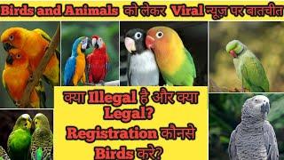 ILLEGAL Birds पालने वालो को कितनी सज़ा || कौनसे Birds है ILLEGAL || Exotic Big Birds Ka Registration