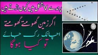 What would happen if Earth stopped rotating and revolving in urdu