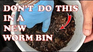 #1 Problem With New Worm Bins! | Vermicompost Worm Farm