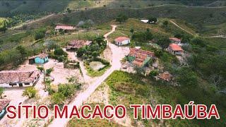 SÍTIO MACACO DO TILMA TIMBAÚBA PE