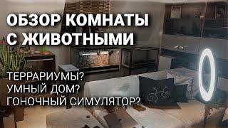 Новая комната питомцев | Мысли про умный дом