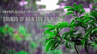 Шум дощу для сну 1 годину. - Розслаблюючий дощ щоб заснути протягом 5 хвилин. Rain for sleep.